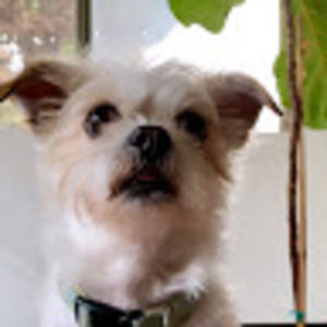 Meet your Posher, Ly